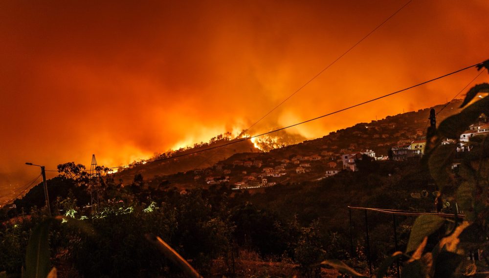 mass-evacuations-as-uncontrolled-wildfire-ravages-tenerife-spain